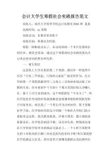社会惯例报告示例