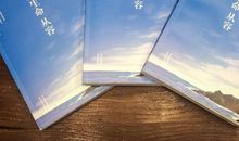 关于生命的随笔_1500字