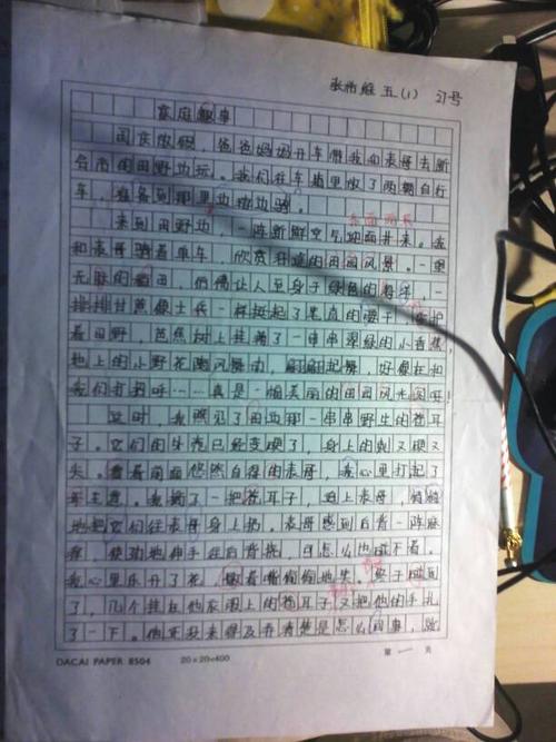 日记四篇文章_500字