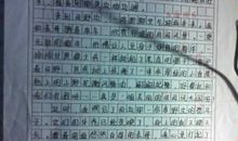 日记四篇_500字