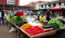 [人文]菜市场_250字