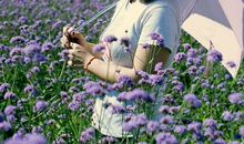 冷漠女孩的阳光 6 干掉他们（连载）_650字