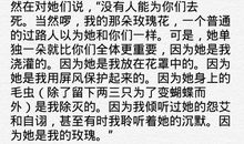 你我不过路人_1200字