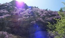 生活中的美景_750字