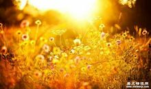 【良言如春】冬日里的一抹暖阳_1500字