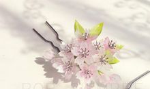 【良言如春】樱花烂醉几时回_1500字