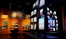 在迎接世博会的日子里_800字