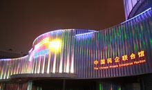 世博会英语作文：魅力上海，闪耀世博_800字