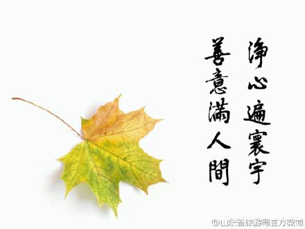 天主教是德国_600字