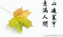 宽容是德_600字