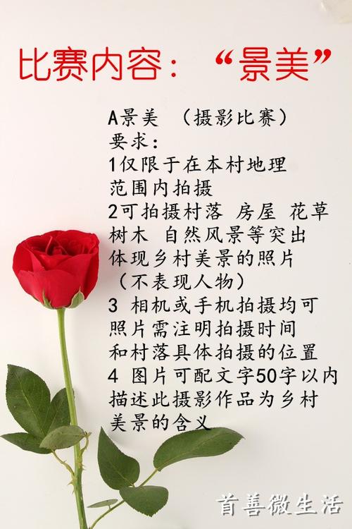树_50字