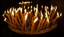 生活教会了我宽容_700字