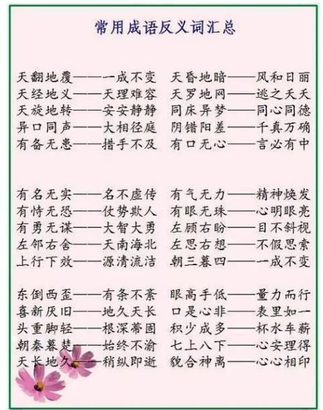 idiom _500字
