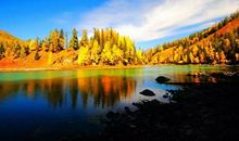 美丽的喀纳斯_650字