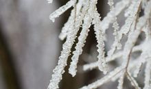 融化的冰晶花_900字