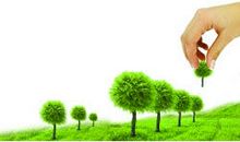 希望树上的小男孩_600字