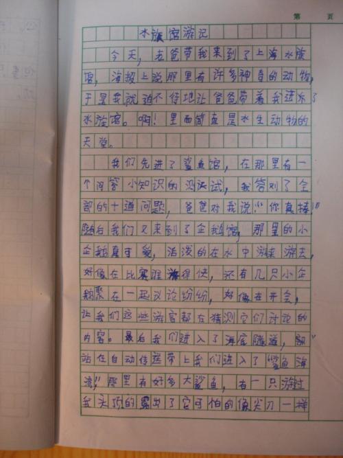 暑假经验_550字