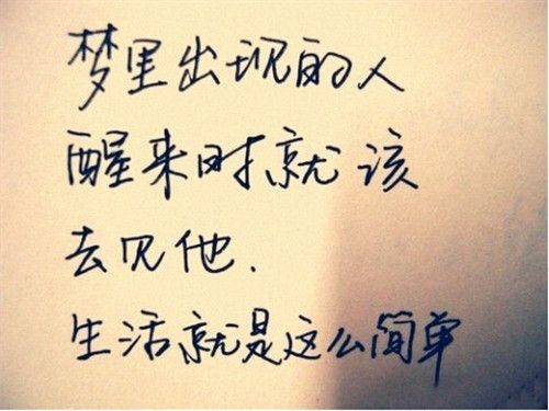 查看“爱”感觉_500字