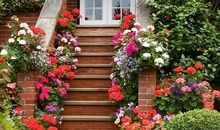 飘落的灿烂_1200字