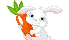 [动物]小白兔_250字