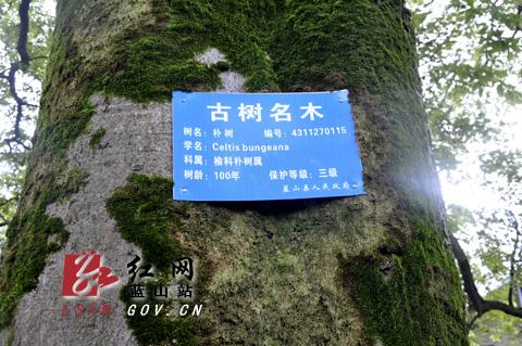 照顾生物 - 阅读“到古树待信卡”_500字
