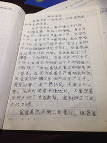 记忆中的构成：记忆中的温暖_900字