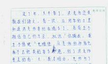 关于记忆的作文：珍藏的记忆_900字