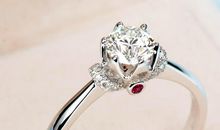 鄂托皇冠的疯卫士