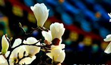 那一刻，我很幸福_800字