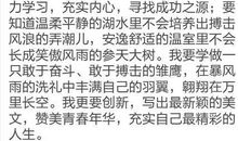 简单的理想_450字