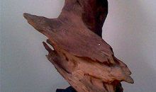 朽木可雕乎_800字