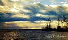 充满活力的岁月_700字