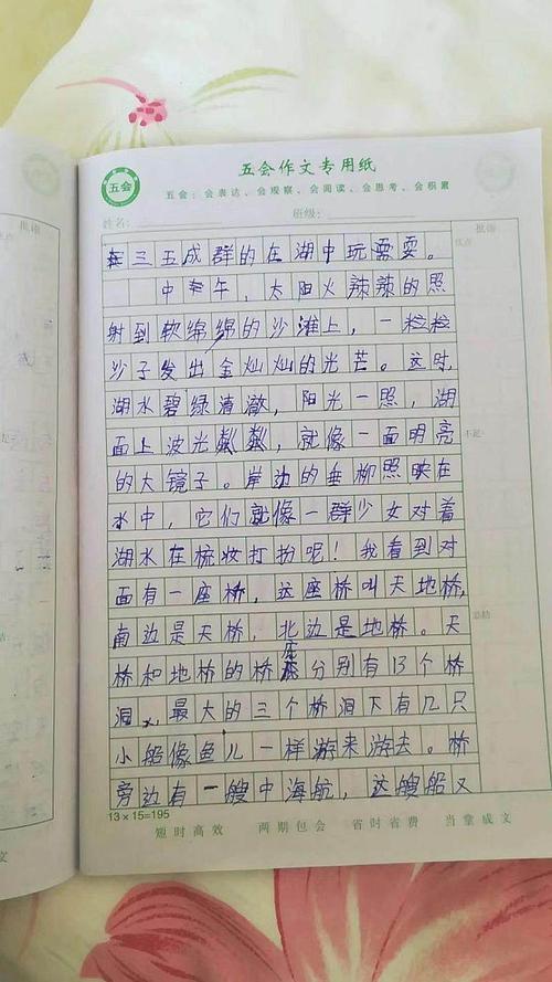 关于新学期的新意图：新学年计划_600字