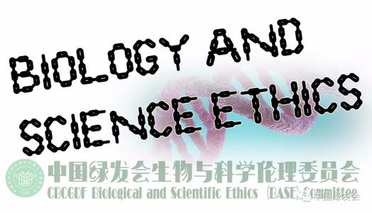 合作（9）_500字
