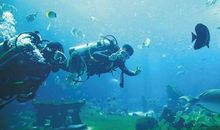 特殊的体验_750字