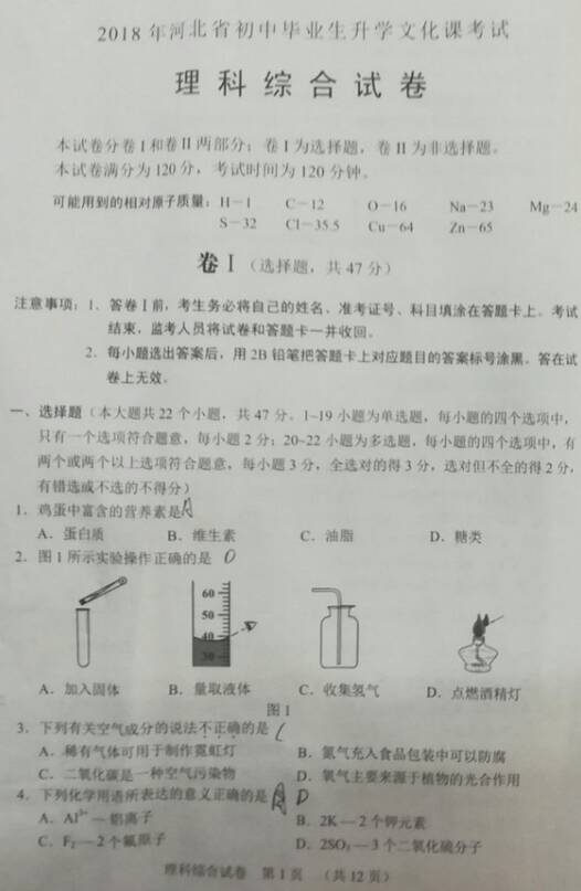 2019年，河北省充满了作文：认识你（4）_800字