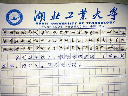 四年级日记：不能死亡_500字