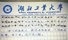 四年级日记：死不了的花_500字