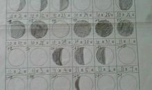 四年级日记：捡到钱以后_800字