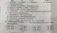 2019年湖南娄底中考满分作文：我渴望飞翔（三）_600字