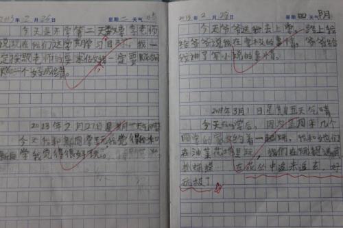 四年级日记：大清洁_600字