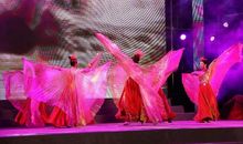 劳动者赞歌——医务工作者_250字