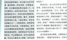 2009年中考优秀作文素材：风雨中的一句话