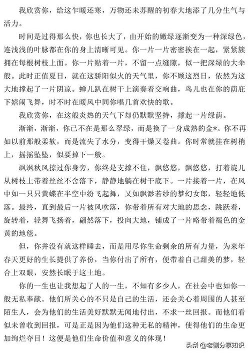中学入学考试语言全部分面：凡人小东西后面<1> _800字