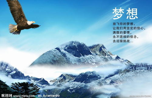 飙升海燕_800字