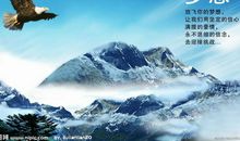 翱翔的海燕_800字