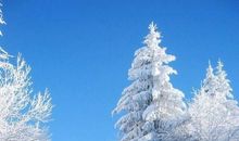 我是冬的使者——雪_550字