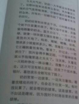 初中作品：惊喜_800字