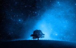 在沮丧时望着星空