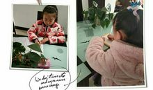 [寒假计划]我的小小寒假_250字